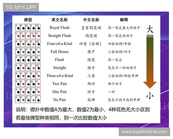 掌握德州扑克必赢的核心技巧打造你的牌场优势
